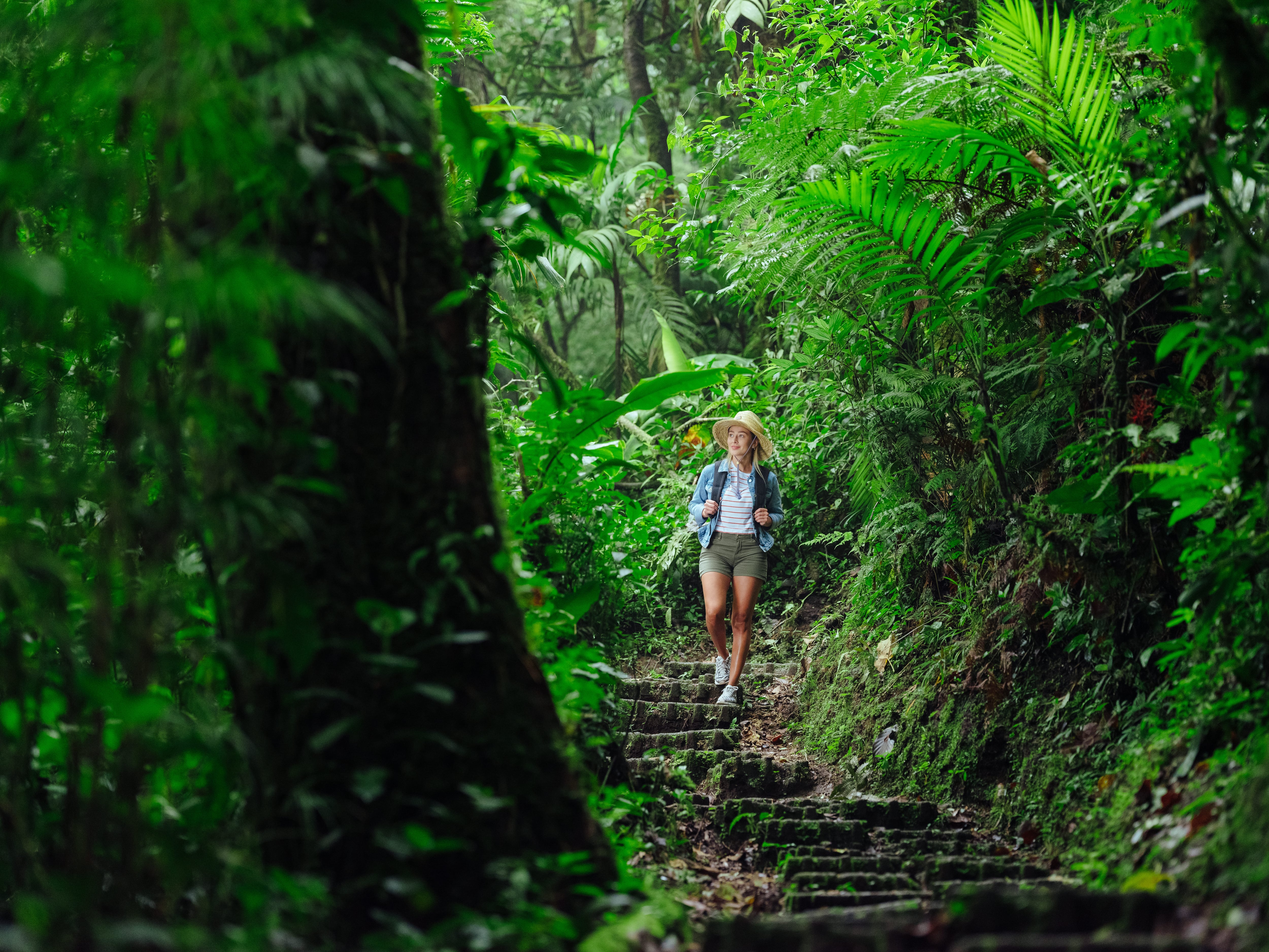 Turismo en Costa Rica. Instituto Costarricense de Turismo.