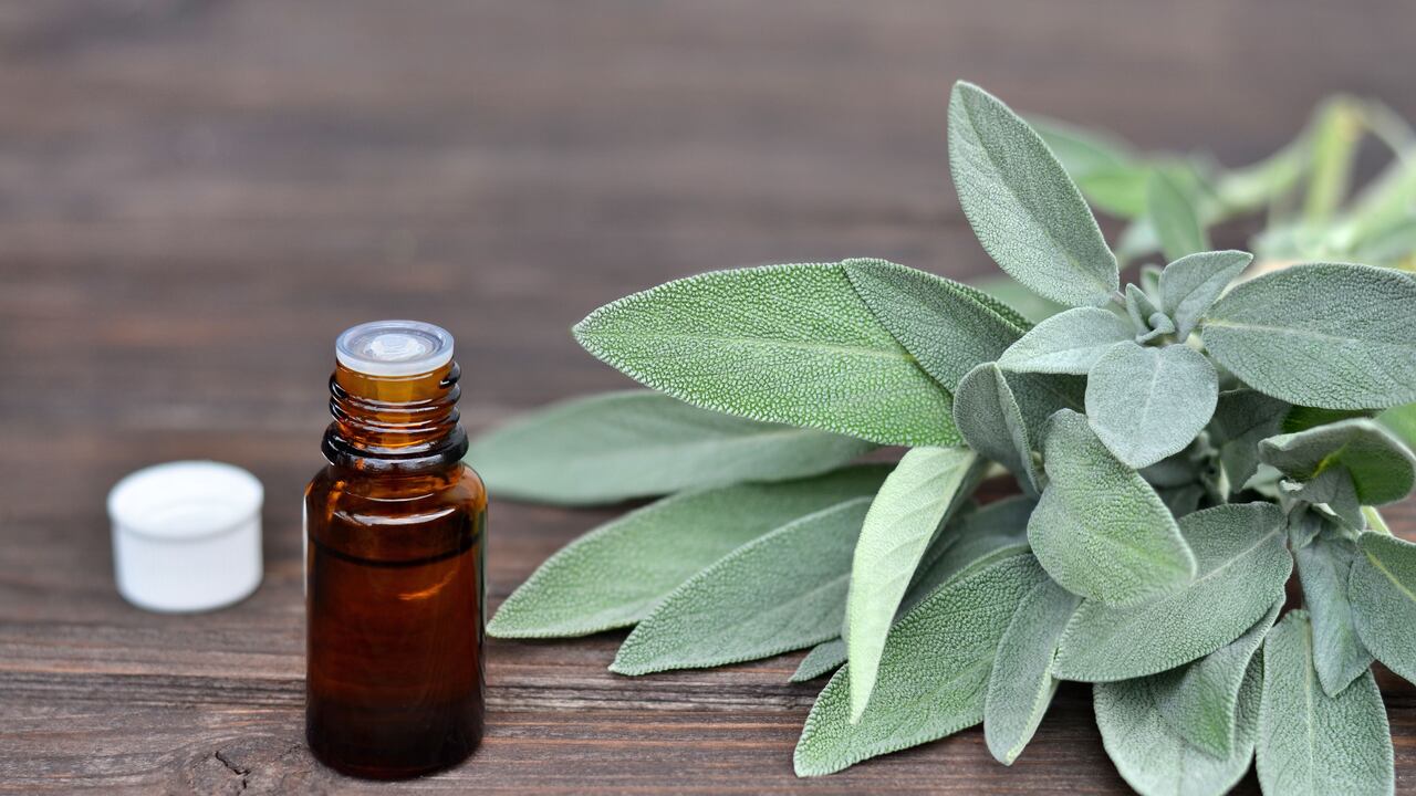 El aceite esencial de salvia ayuda aliviar los sofocos, los sudores nocturnos y la disminución de la libido durante la menopausia.