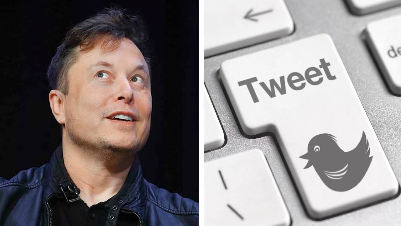 Las acciones de Twitter terminaron este miércoles ligeramente por encima de los 40 dólares. Foto: Getty images montaje SEMANA.