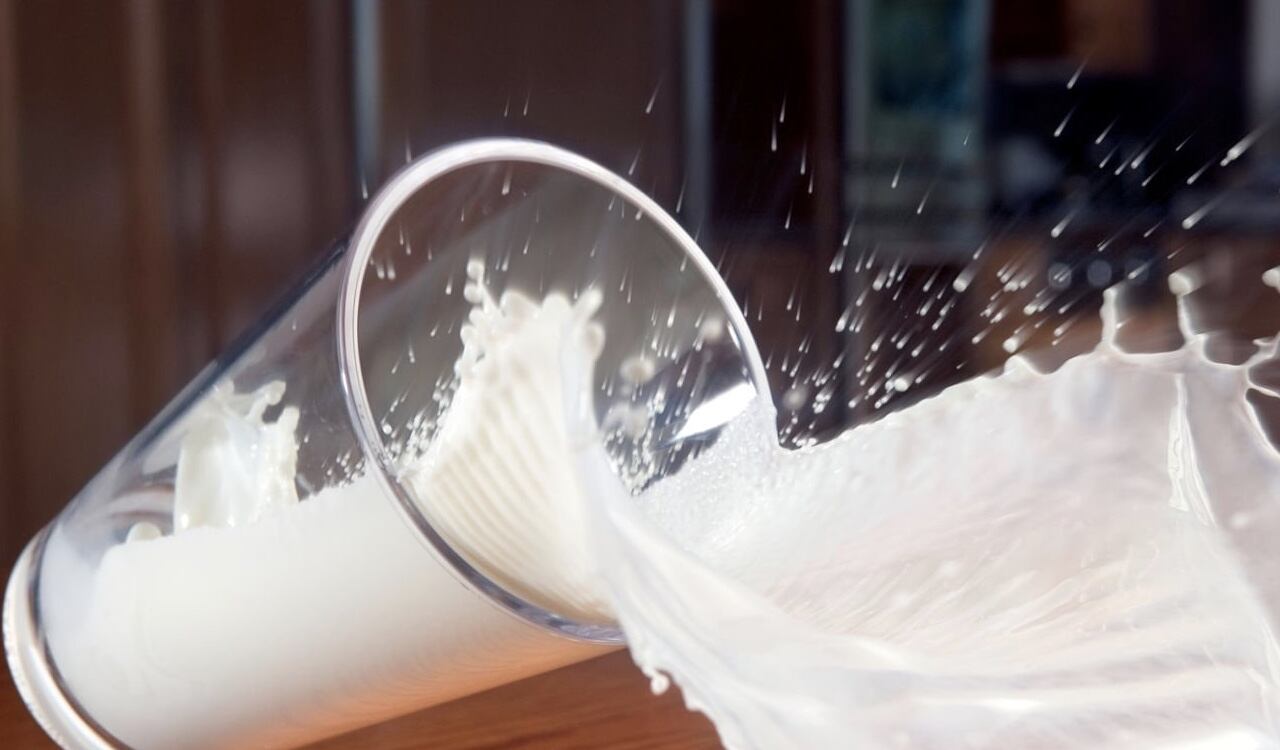 La leche proporciona entre un 10 % y un 15 % de la ingesta diaria recomendada de vitaminas del complejo B