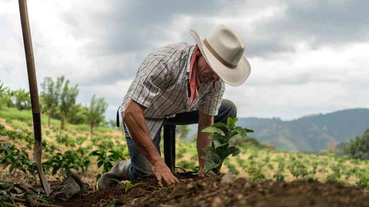 Los agricultores podrán optimizar el proceso de análisis del suelo.