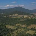 Los territorios de Cherán han sido reforestados en los últimos años por los indígenas. Foto: AFP
