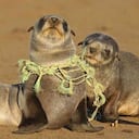 El plástico es uno de los materiales que más genera contaminación en los océanos. Foto: Getty Images