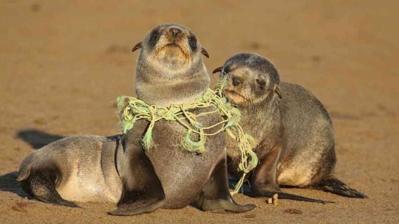 El plástico es uno de los materiales que más genera contaminación en los océanos. Foto: Getty Images