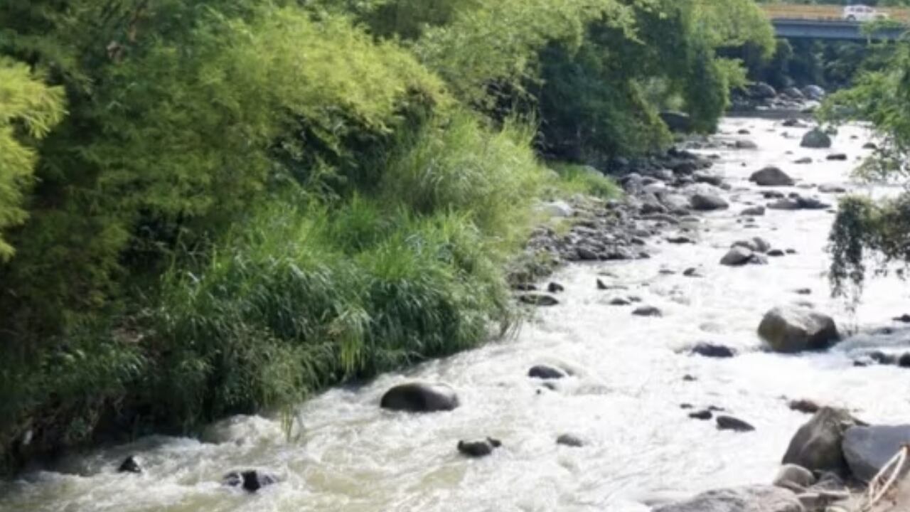 En el Día Mundial del Agua así buscan salvar el Río Suratá