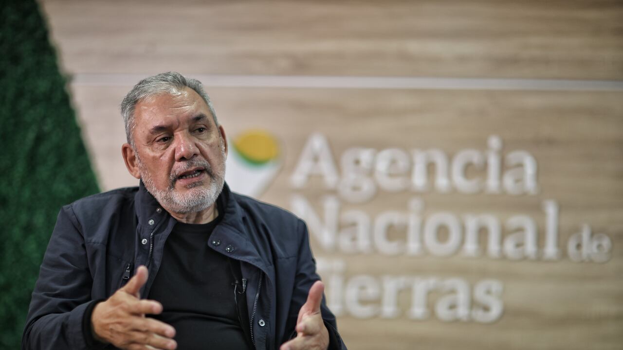 Gerardo Vega Medina, director de la Agencia Nacional de Tierras