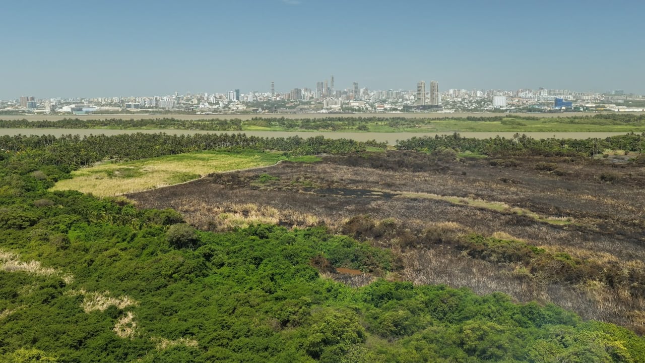 Incendio en Isla Salamanca.
