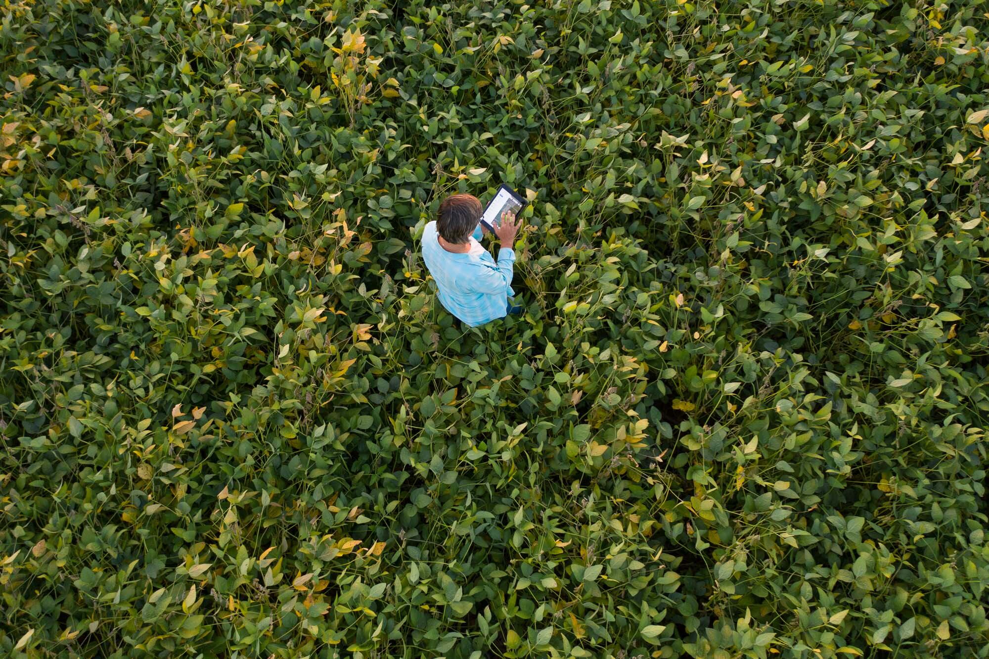 Con el Protocolo de Garantía de Sostenibilidad de la Soya de Estados Unidos se garantiza que el producto cuente con los procesos adecuados de cultivo.