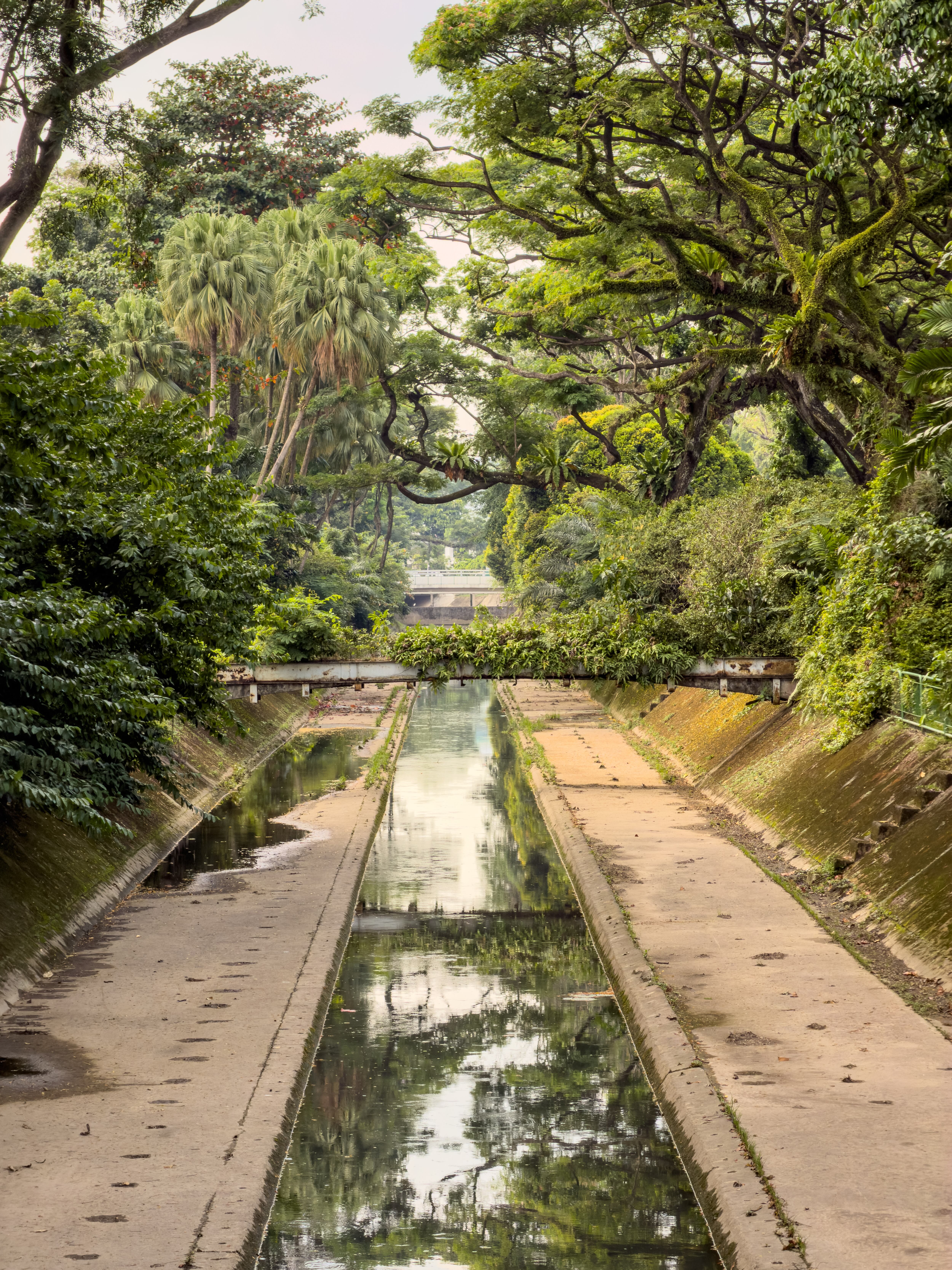 El exceso de nutrientes puede provocar un crecimiento excesivo de algas.