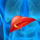 El cáncer de vías biliares causa el 1,7 por ciento de las muertes por cáncer a nivel mundial, según la International Agency for Research on Cancer (IARC).