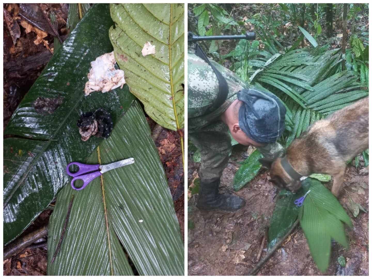 Se intensifican los labores de búsqueda tras este hallazgo.