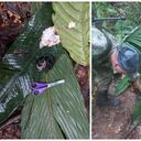 Se intensifican los labores de búsqueda tras este hallazgo.