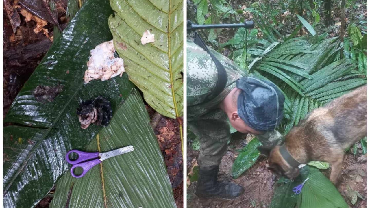 Se intensifican los labores de búsqueda tras este hallazgo.