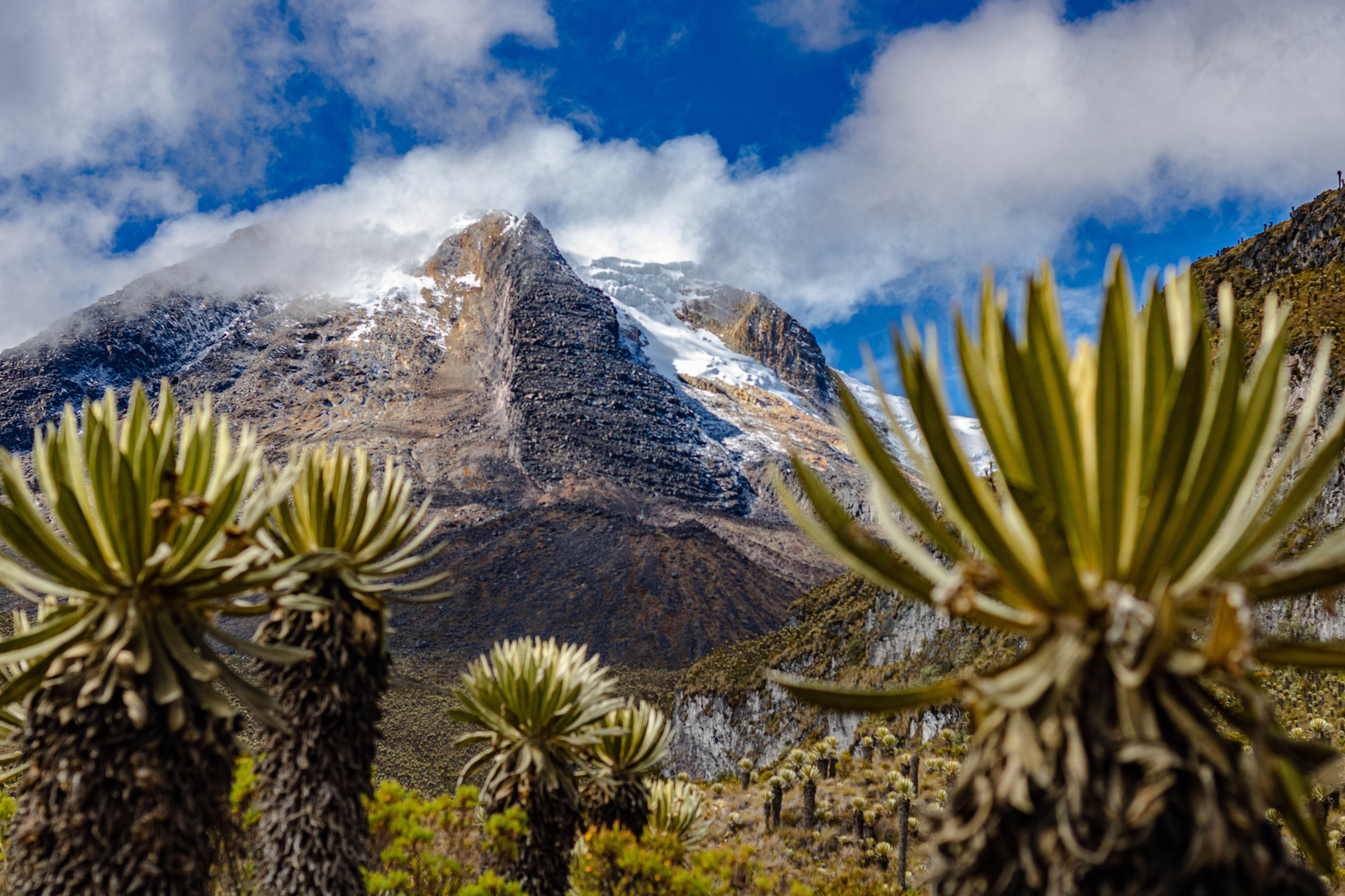 Natural landscape in the Colombian mountains of the Nevados National Park, in the background the Nevado del Tolima in the middle of Frailejones