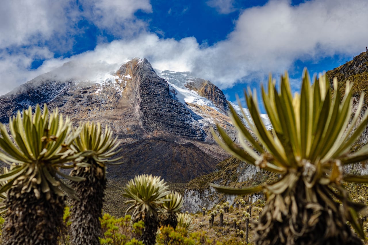 Natural landscape in the Colombian mountains of the Nevados National Park, in the background the Nevado del Tolima in the middle of Frailejones