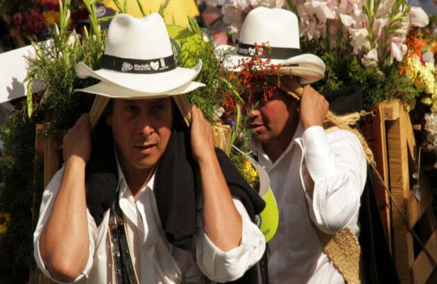 A pesar de que las hay de todas formas y tamaños, una silleta puede medir hasta cinco metros de altura y de diámetro.