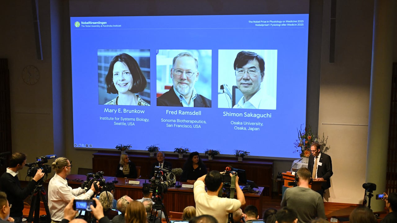Premio Nobel de Medicina para científicos por hallazgos en el sistema inmune