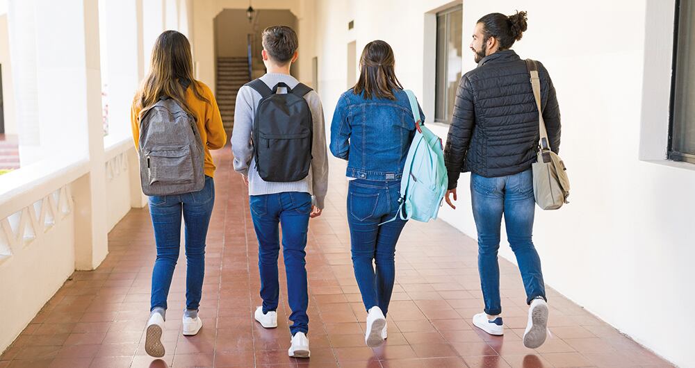 Estas son las directriz de la medida. 