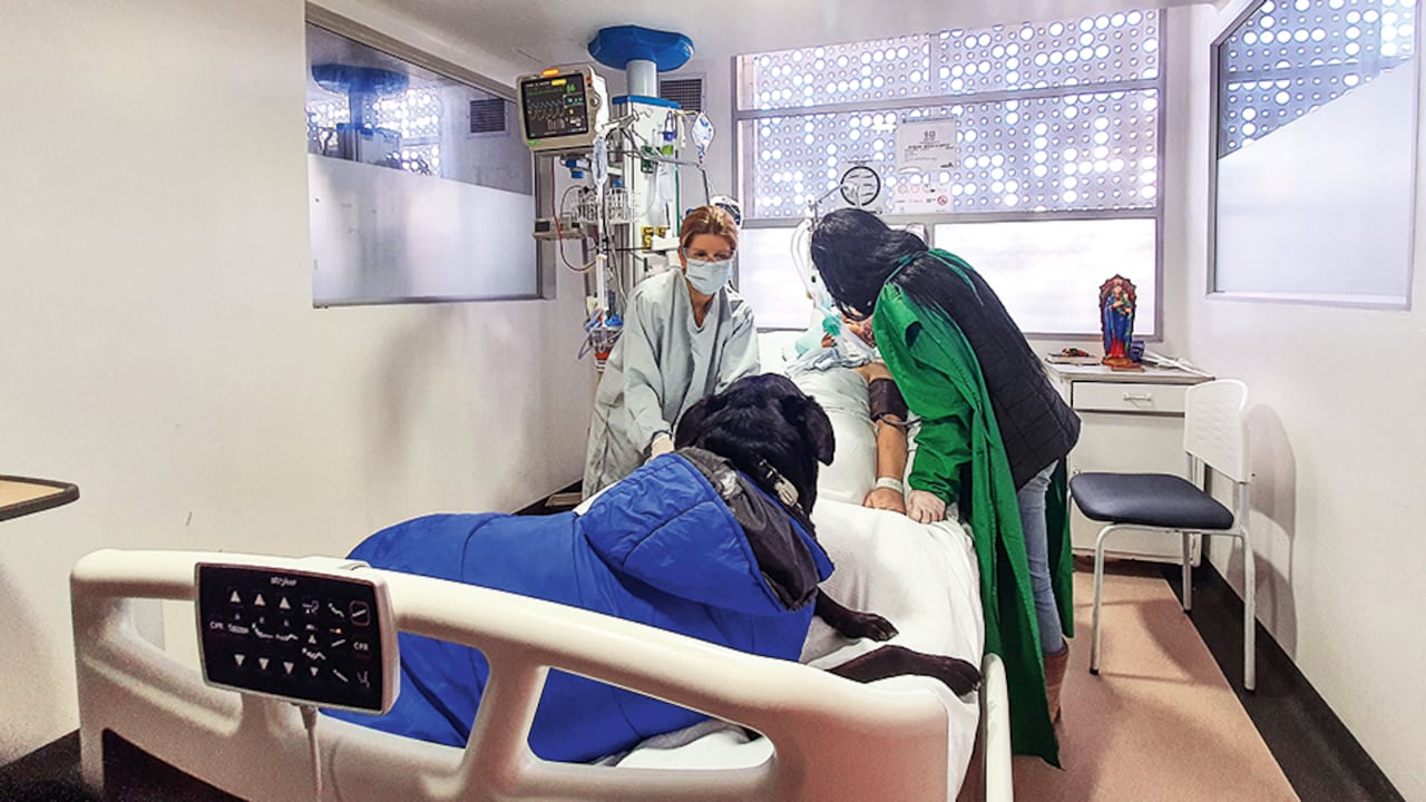 Aunque médicamente no hay una explicación para lo que pasó con Myriam y Dino, el Hospital Universitario Nacional de Colombia autorizó el ingreso de mascotas a fin de acompañar a pacientes crónicos.