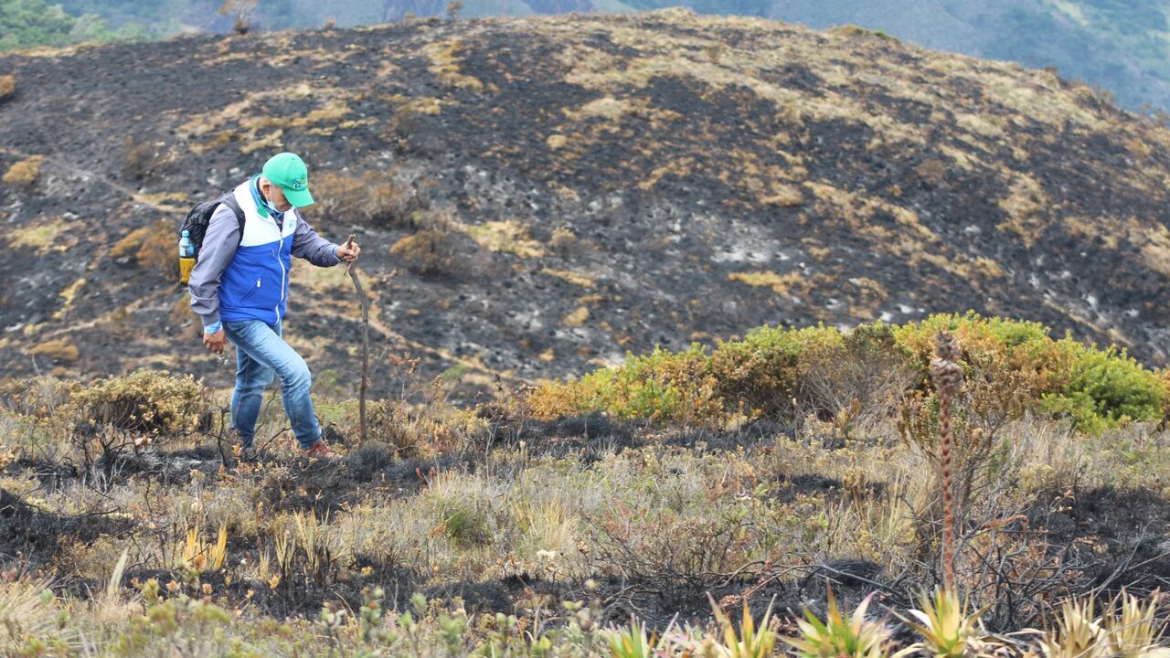 En 10 municipios inició la escasez de agua.