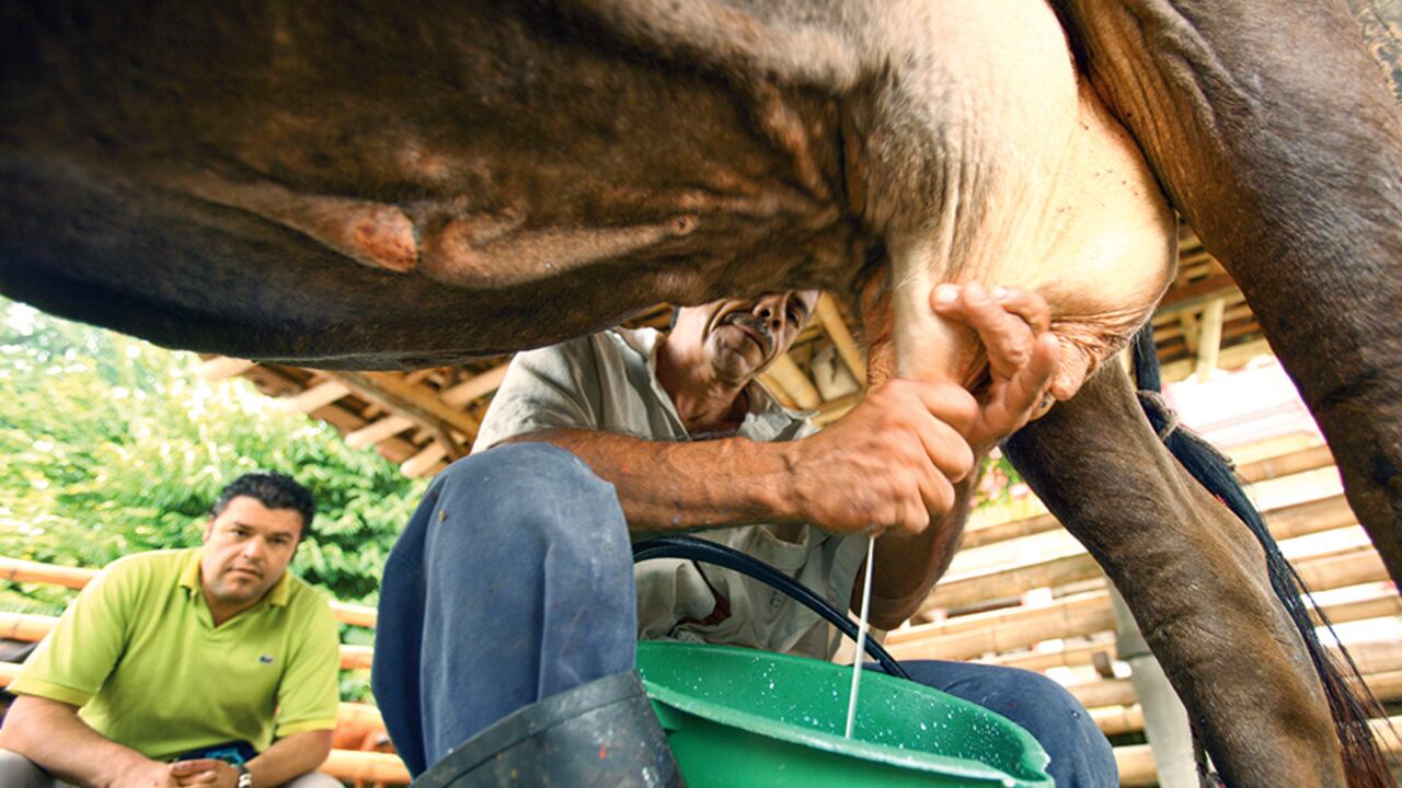 Una de las empresas investigadas por la Superindustria aseguró que este tipo de anuncios afectan seriamente al gremio.