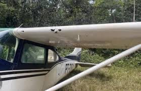 Narcoavioneta interceptada