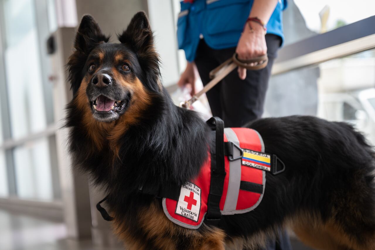 Unidad apoyará labores de rescate en Turquía.