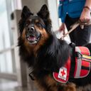 Unidad apoyará labores de rescate en Turquía.