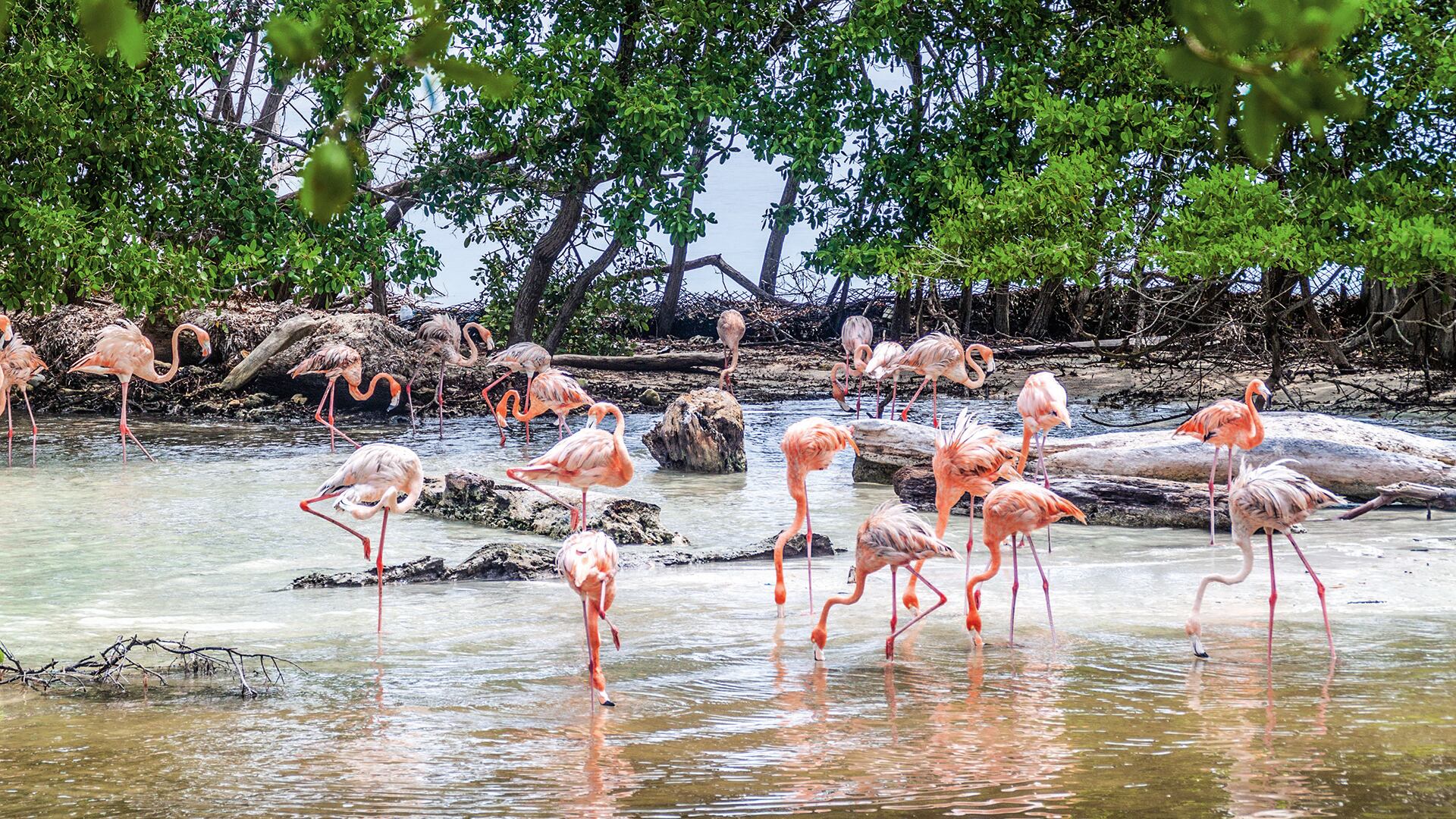 Especial Caribe, Daniel Páez, Archipiélago de San Bernardo