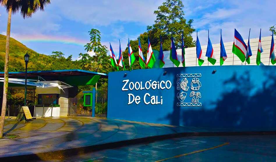 Zoológico de Cali.
