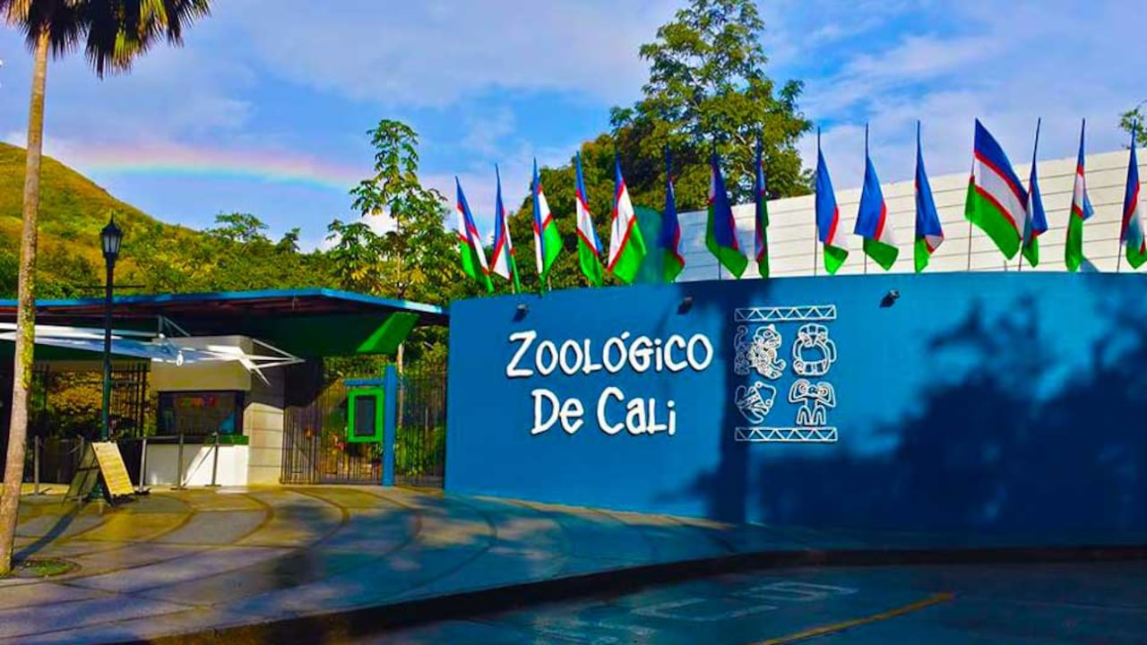 Zoológico de Cali.