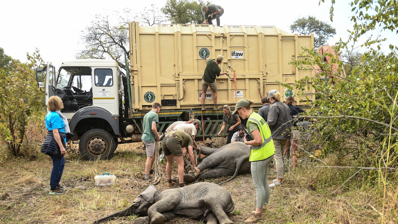 Parque Nacional Liwonde / África