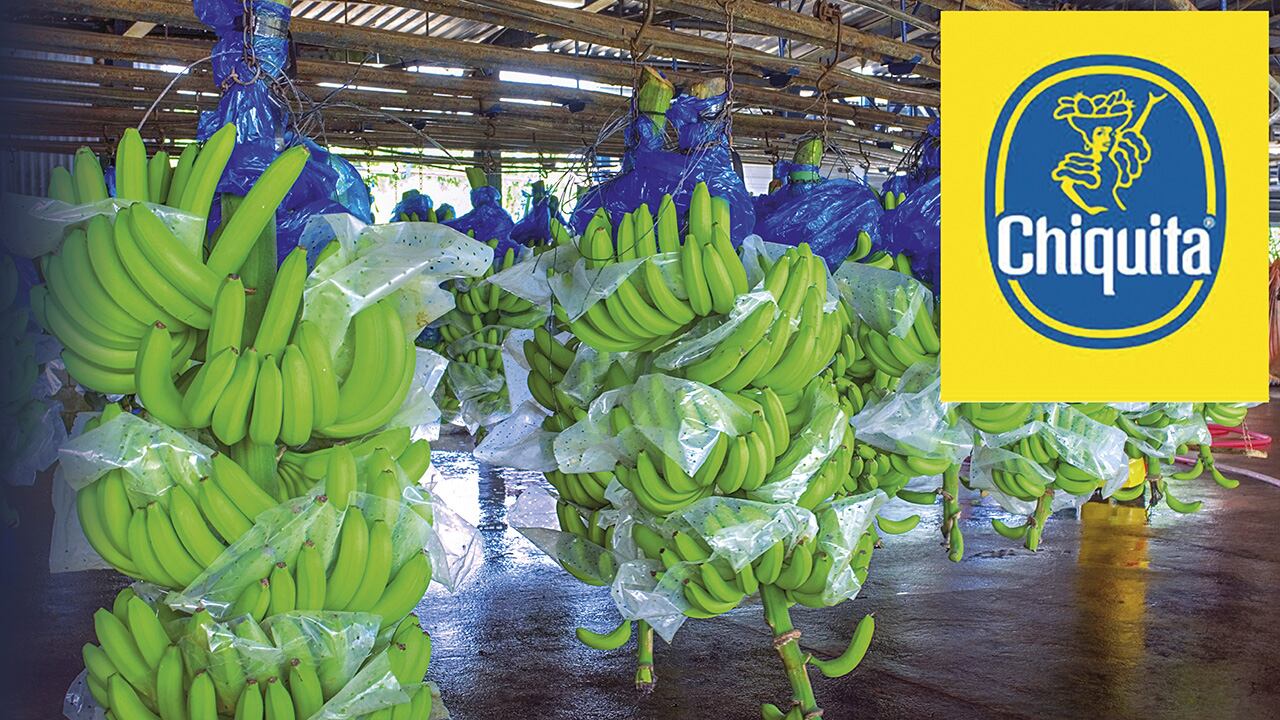 El Tribunal Federal condenó al abogado Terrence P. Collingsworth por falsos testigos en el caso Drummond. La decisión impacta la investigación contra Chiquita Brands, en la que también habrían comprado testimonios, entre esos el del exparamilitar Raúl Hasbún.