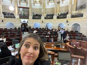 Paloma Valencia en debate de tarifas de energía en el Senado.