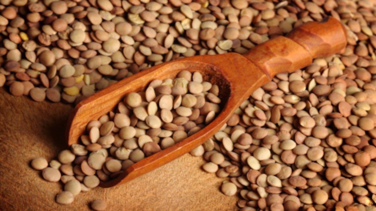 Las lentejas son una de las mejores proteínas de origen vegetal.