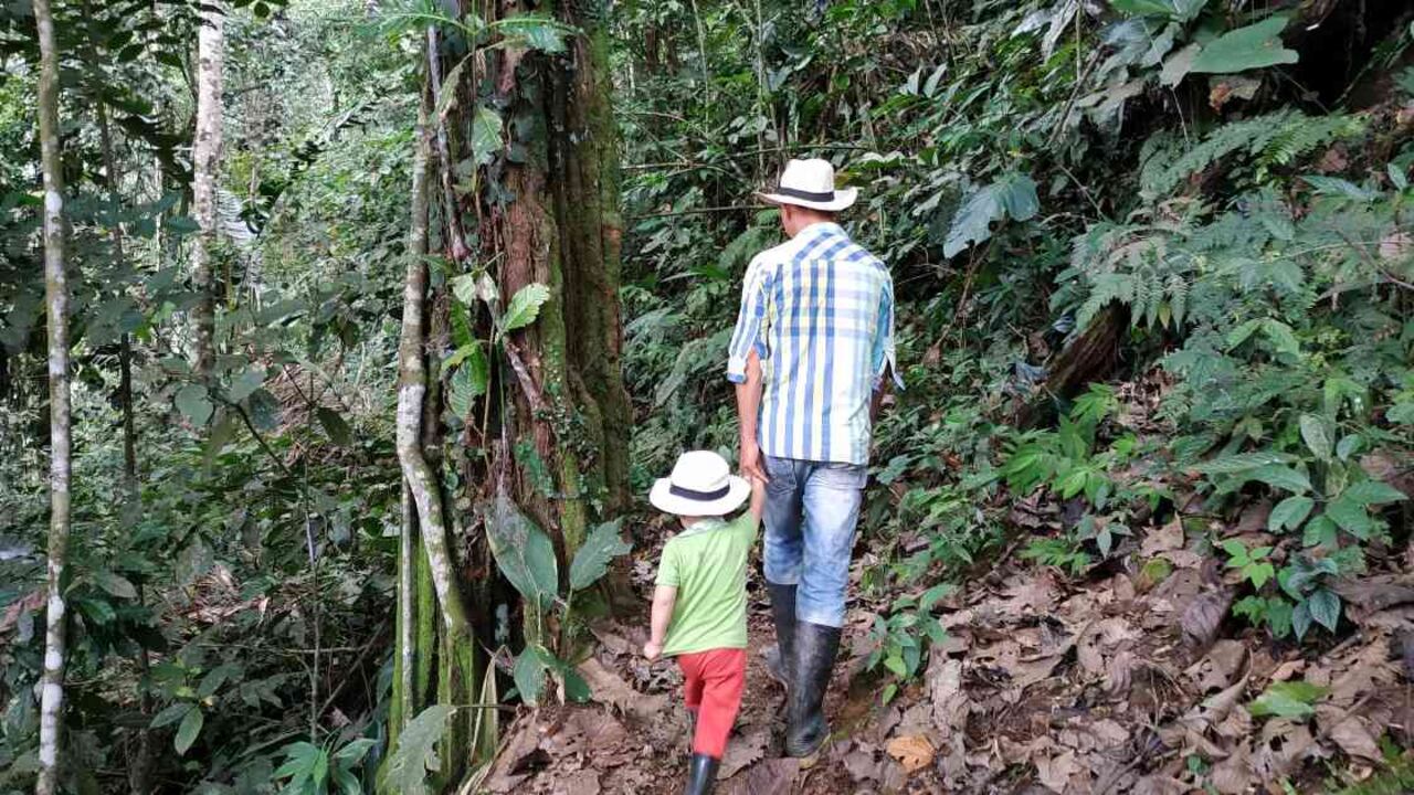 La Escuela de Selva llegará a los 13 municipios más deforestados del país. Foto: Jhon Barros.