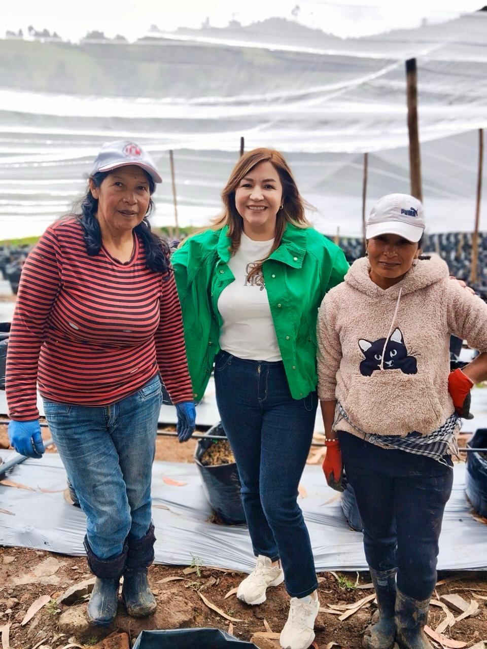Mujeres en Nariño trabajan con proyectos agrícolas productivos impulsados por la representante Teresa Enríquez