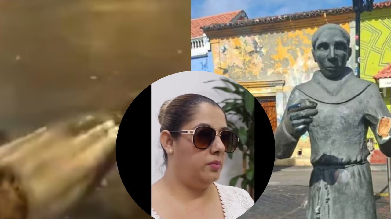 Declaración de turista señalada de dañar estatua del padre Umaña en Cartagena. Martes 13 de octubre.