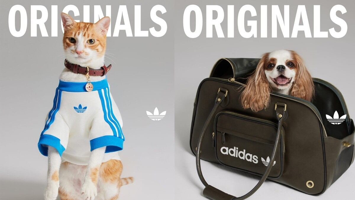 Además de las camisetas, la línea incluye collares de cuero con detalles metálicos en oro y plata, y bolsos de transporte con ventanas de ventilación