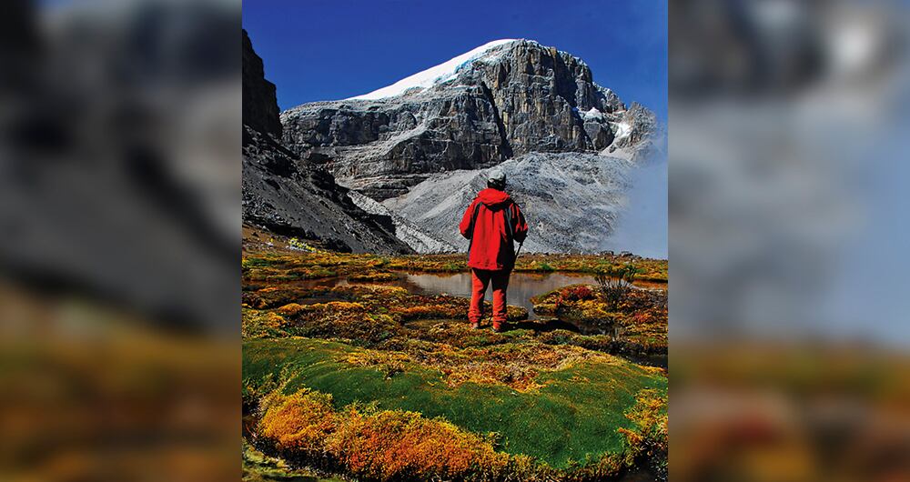 “Colombia no tiene futuro”_3