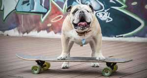 Baxter monta una longboard profesional de 83 centímetros de largo y 21 de ancho.