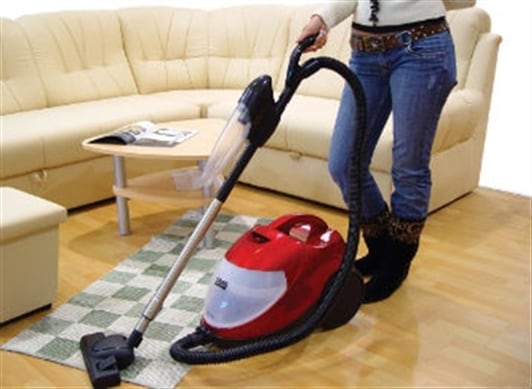 La aspiradora puede ser útil a la hora de eliminar estos insectos.