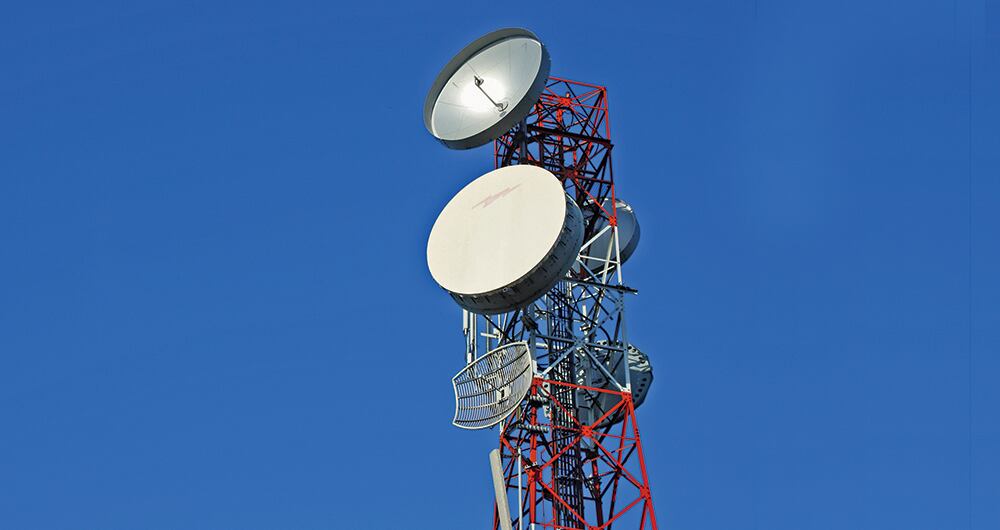 Esto fue lo que dijo el organismo. 