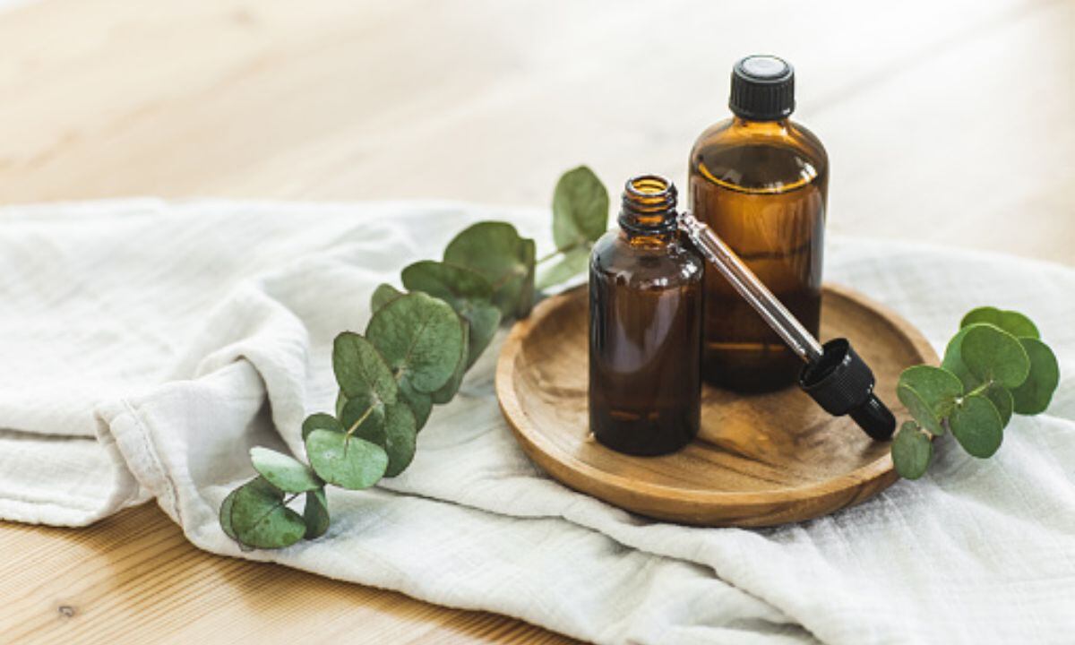 Planta para la diabetes, la cistitis y la vaginitis.