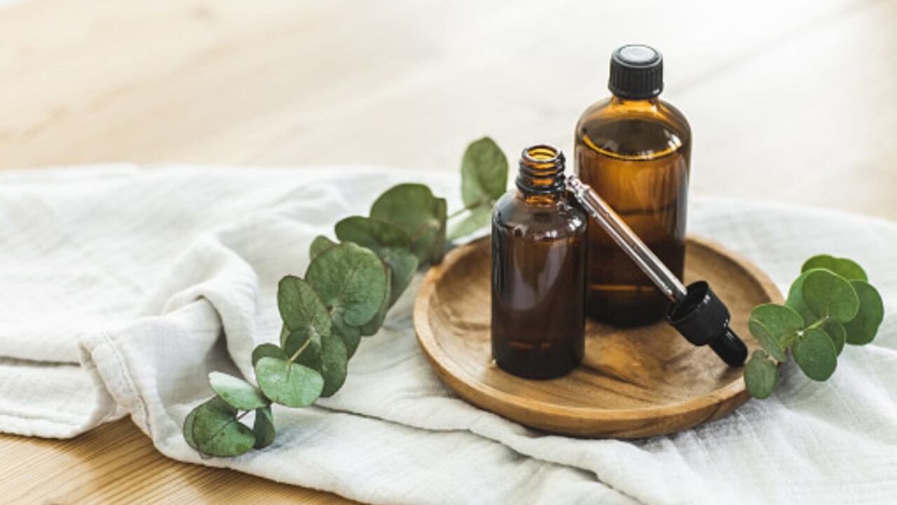 Planta para la diabetes, la cistitis y la vaginitis.