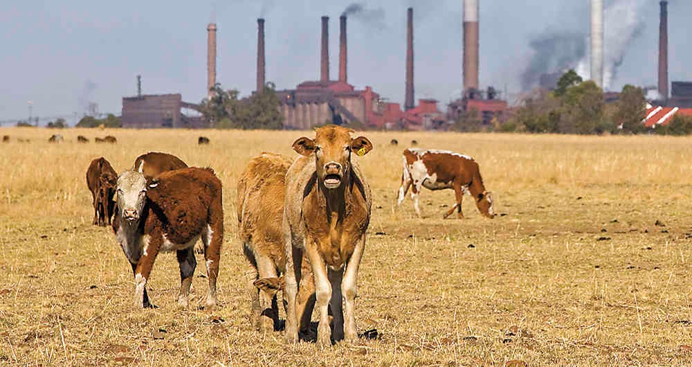 JOHN HOGG / WORLD BANK PHOTO COLLECTION