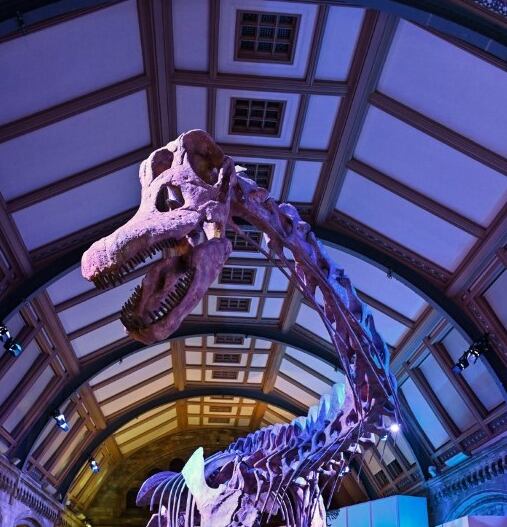 Réplica de un dinosaurio estará en Museo de Londres