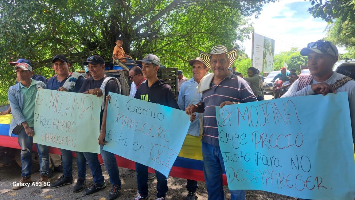 Arroceros de La Mojana señalan problemas de contrabando principalmente del Ecuador.