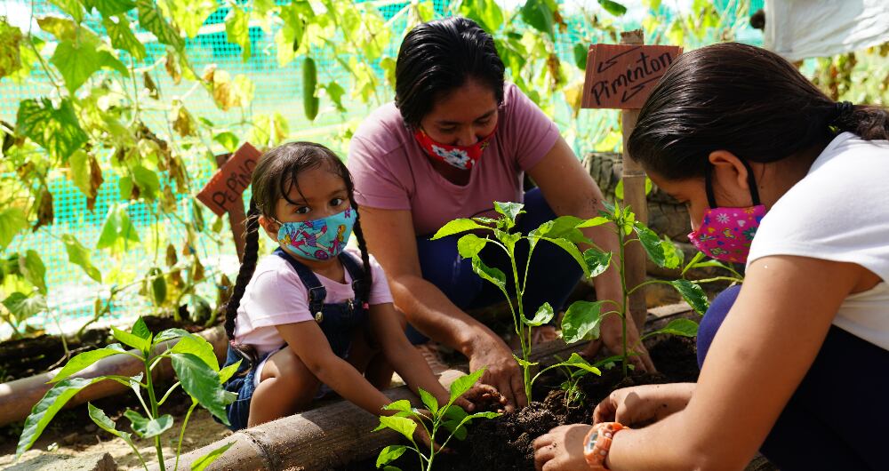 En Arauca, 365 personas viven en comunidad bajo el modelo de los antiguos ETCR.