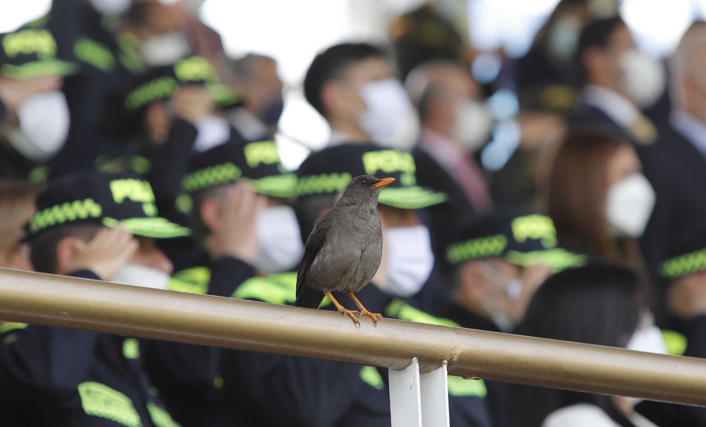 Ceremonia oficial de aniversario de la Policía Nacional,  acto de conmemoración de los 130 años   encabezado por el presidente de la república, Iván Duque Márquez. el Ministro de Defensa Nacional, el Director de la Policía Nacional y los demás comandantes de Fuerza, entre otras personalidades.